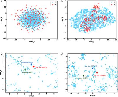 GCNCMI: A Graph Convolutional Neural Network Approach for Predicting circRNA-miRNA Interactions